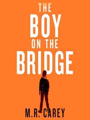 cover image of The Boy on the Bridge